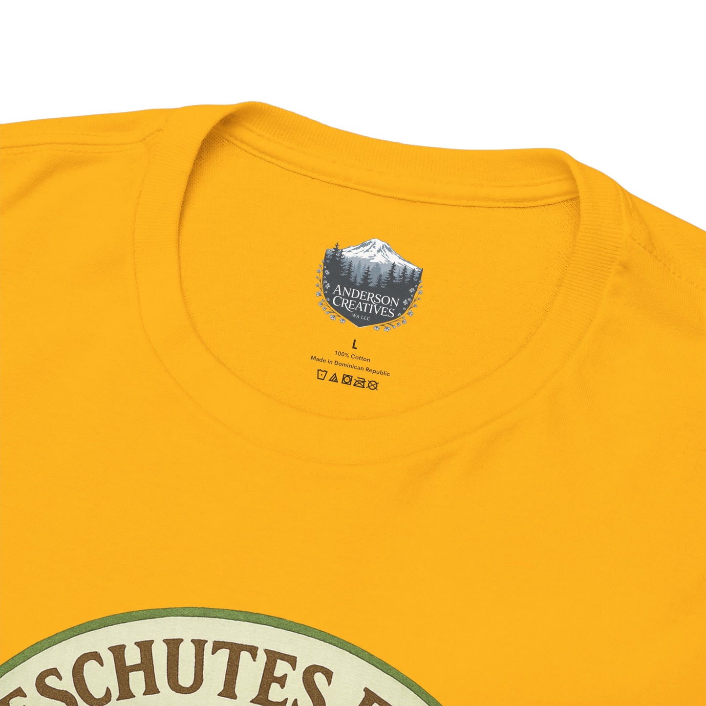 Deschutes Falls Park - Thurston County, Washington T-Shirt