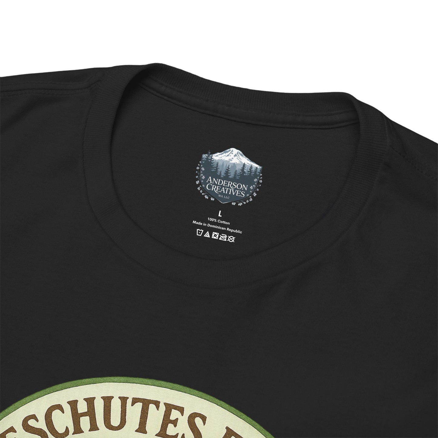 Deschutes Falls Park - Thurston County, Washington T-Shirt