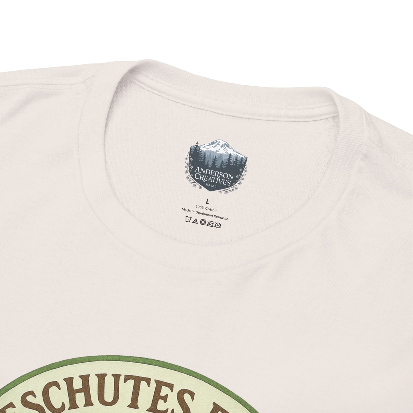 Deschutes Falls Park - Thurston County, Washington T-Shirt