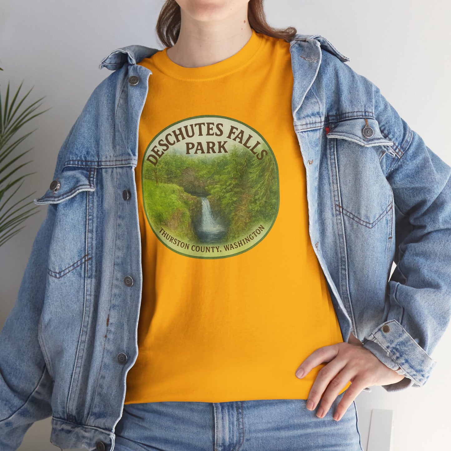Deschutes Falls Park - Thurston County, Washington T-Shirt